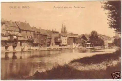 18316 Ak Calbe an der Saale Saalepartie 1912