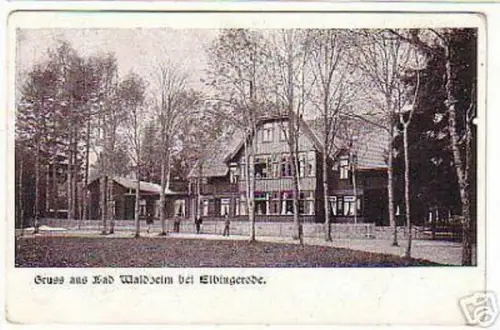08252 Ak Gruß aus Bad Waldheim bei Elbingerode 1931