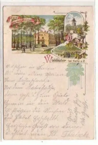 48070 Ak Lithographie Gruß aus der Haide Waldkater 1897