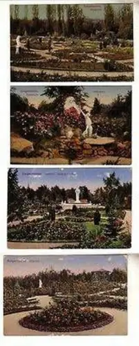 12210/4 Ak Sangerhausen Rosarium um 1910