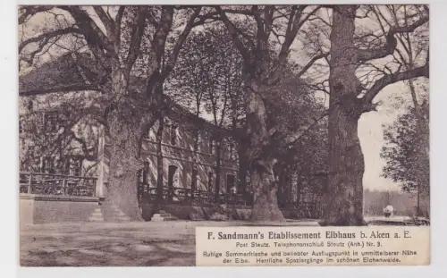 79962 Ak F. Sandmann´s Etablissement Elbhaus bei Aken an der Elbe 1913
