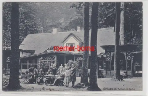 78277 Ak Itzehoe Gruss aus Amönenhöhe 1909