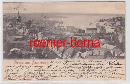 78951 Ak Gruß aus Flensburg Totalansicht 1899
