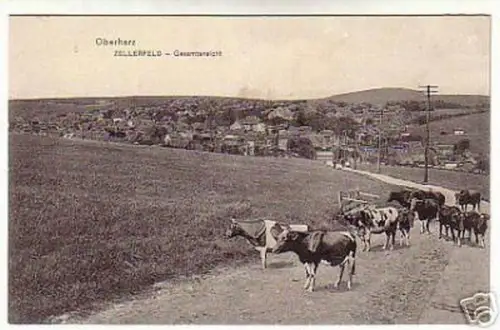 00903 Ak Oberharz Zellerfeld Gesamtansicht um 1900