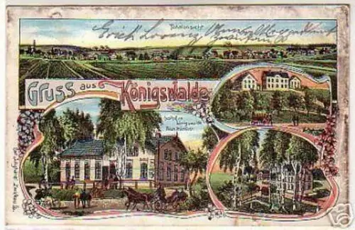 04651 Ak Lithographie Gruss aus Königswalde 1910