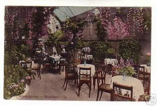 schöne Ak Wintergarten Hainichen in Sachsen 1918