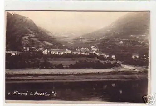 06039 Foto Ak Birnai an der Elbe bei Aussig um 1930