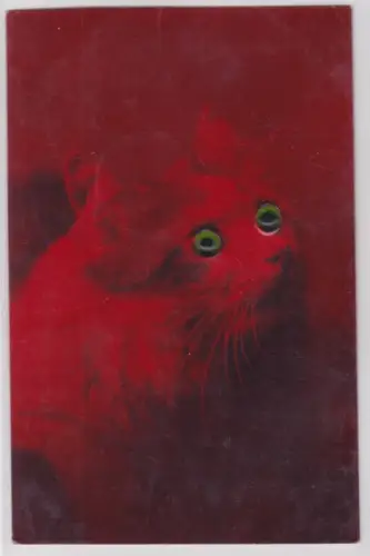 23036 Künstler Ak Katze mit Glasaugen 1914