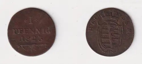 1 Pfennig Kupfer Münze Sachsen Coburg Saalfeld 1823 ss (121938)