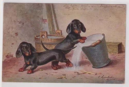 77712 Künstler Ak Dackel kippen Wassereimer um, S. Sperlich 1909