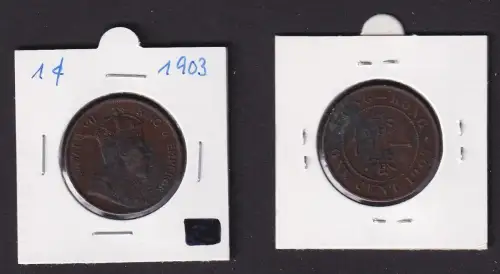 1 Cent Kupfer Münze Hongkong Edward VII 1903 ss (169666)