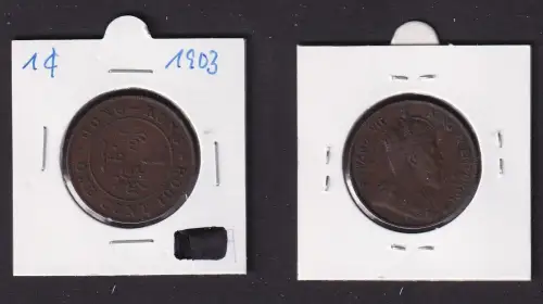 1 Cent Kupfer Münze Hongkong Edward VII 1903 ss (169870)