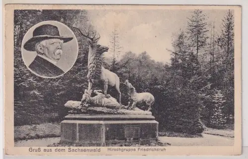53290 Ak Gruß aus dem Sachsenwald - Hirschgruppe Friedrichsruh um 1930