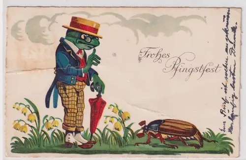72135 Künstler AK Frohes Pfingsfest, Frosch im Frack und Maikäfer 1935