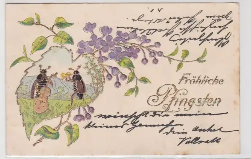 13336 geprägte Ak Fröhliche Pfingsten musizierende Maikäfer im Blatt 1903