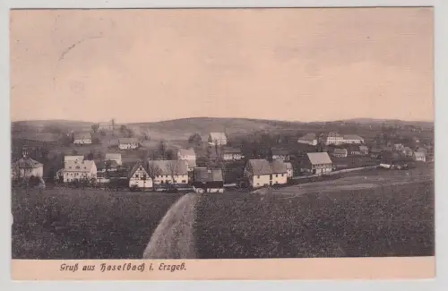 79679 Ak Gruß aus Haselbach im Erzgebirge Totalansicht 1915