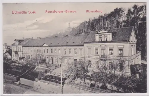 900968 AK Schmölln S.-A. - Ronneburger-Strasse, Blumenberg 1909