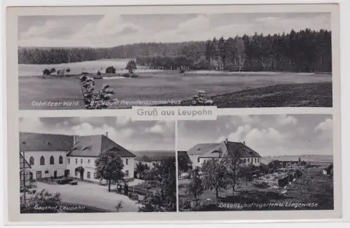 900400 AK Gruß aus Leupahn - Gasthof, Gesellschaftsgarten und Liegewiese 