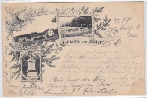 900829 Lithographie Ak Gruss aus Auer 1897