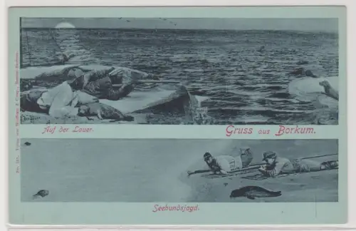 99874 Mondschein AK Gruss aus Borkum - Auf der Lauer, Seehundsjagd