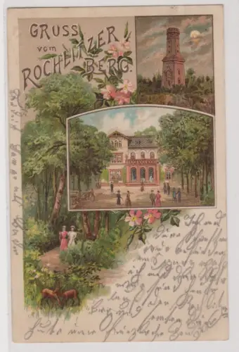 33934 AK Gruss vom Rochlitzer Berg - Aussichtsturm, Gasthof, Waldpartie 