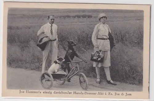 53017 AK Joe Hammer's einzig dastehender Hunde-Dressur-Akt i. Fa. Jim & Jam