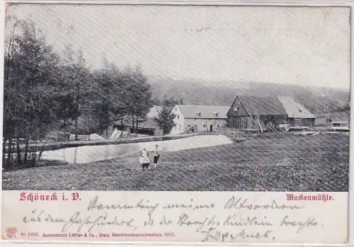 72303 AK Schöneck im Vogtland - Muckenmühle 1905 Löffler & Co. Greiz Nr. 2895