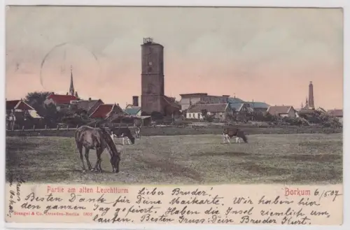 41168 AK Borkum - Partie am alten Leuchtturm mit Kühen und Pferden 1907