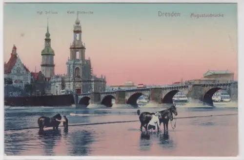 99359 Ak Dresden - Augustusbrücke, kgl. Schloss und kath. Hofkirche 1907