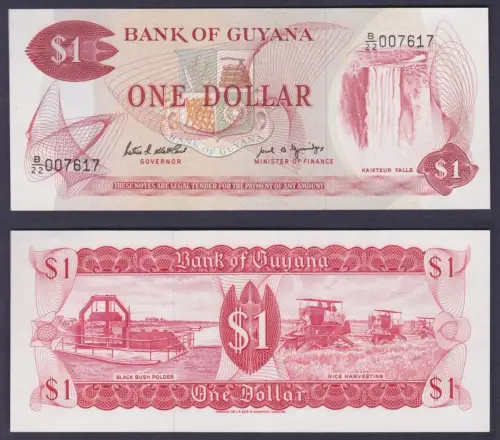 1 Dollar Banknote Guyana bankfrisch UNC (162792)