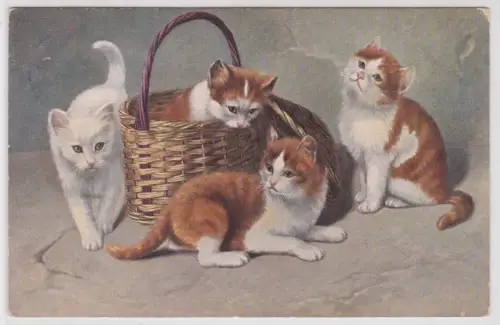 76464 Ak 4 Katzenkinder spielen mit Körbchen 1912