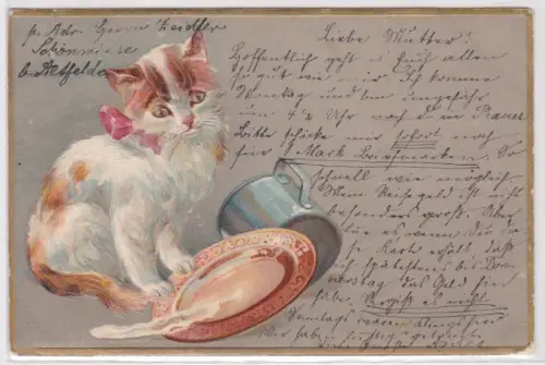 93166 Präge Ak niedliche Katze schaut auf umgeworfenes Schälchen 1904