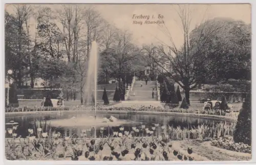 903655 Ak Freiberg in Sachsen König Albert Park 1916