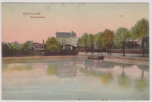 903515 Ak Neukalen in Mecklenburg Ratmannsteich 1907