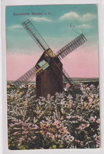 09889 Ak Baumblüte bei Werder a.H. Windmühle 1924
