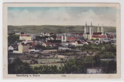 904576 Ak Naumburg a. Saale - Totalansicht mit Dom 1919