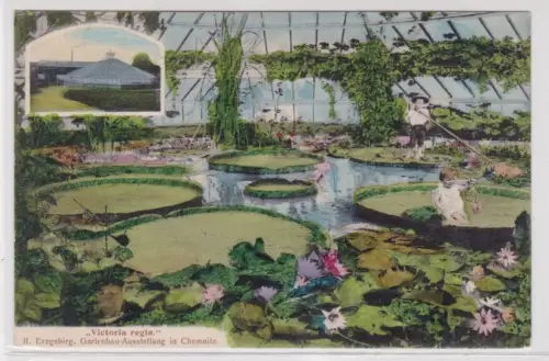900798 AK Chemnitz - II. Erzgeb. Gartenbau-Ausstellung "Victoria Regia"