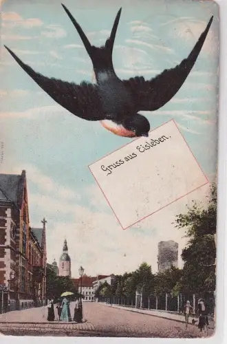 906269 Schwalben Ak Gruß aus Eisleben 1909