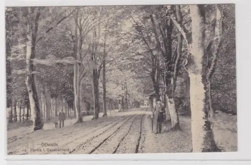 34731 Ak Demmin i.Pom. Partie im Devenerholz 1911