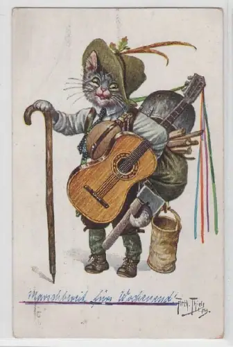 42261 Arthur Thiele Künstler Ak Katze als Wanderbursche Geselle