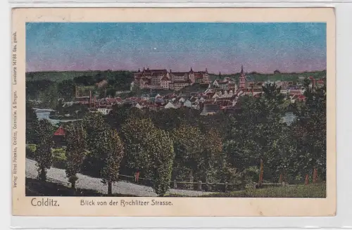 55380 Luna AK Colditz - Blick von der Rochlitzer Strasse 1906