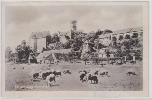 95548 Ak Gnandstein - Schafswiese vor der Burg Gnandstein um 1915