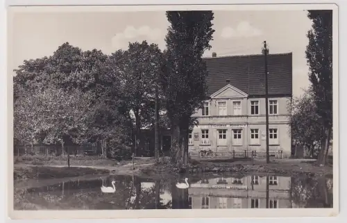 908145 Ak Rosen- und Dahlien-Garten Hainichen - Das Idyll von Zeitz 1938