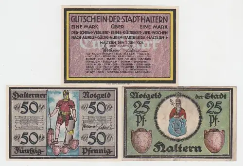 kompl. Serie mit 3 Banknoten Notgeld Stadt Haltern 1921