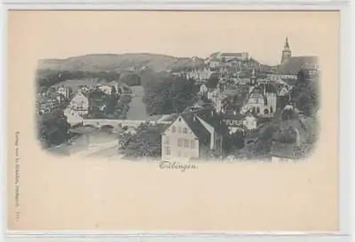 15840 Ak Tübingen Totalansicht um 1900