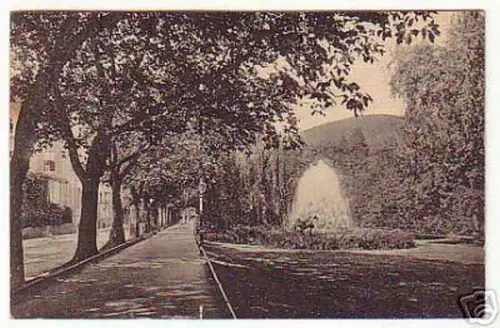 02825 Ak Baden Baden Lichtenthaler Allee 1920