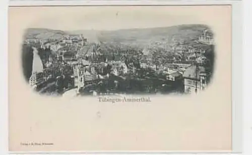 34861 Ak Tübingen Ammerthal Totalansicht um 1900