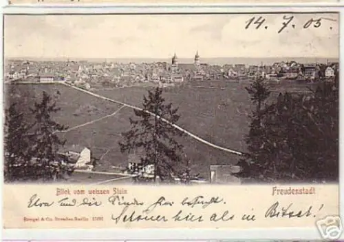 10351 Ak Freudenstadt Blick vom weissen Stein 1905