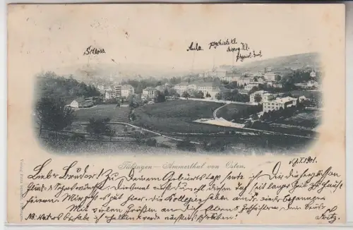 70315 Ak Tübingen Ammerthal von Osten 1901