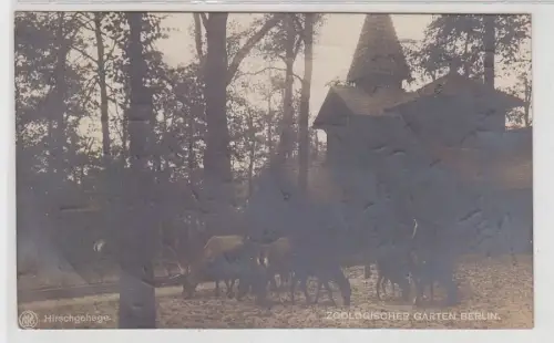 71340 Ak Zoologischer Garten Berlin Hirschgehege 1919